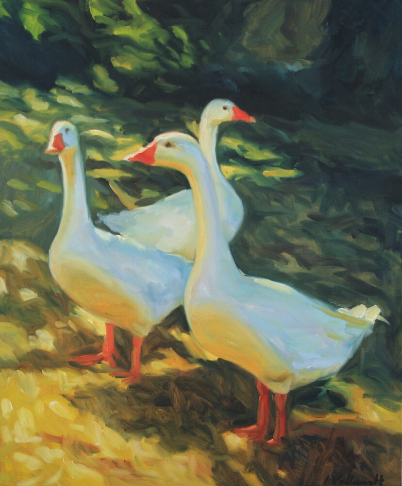 Oil painting of two white geese, by Iain Vellacott