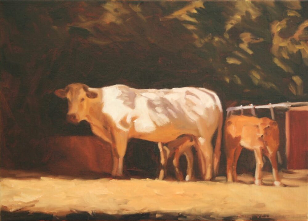 Oil painting of a cow and calf in evening light, by Iain Vellacott